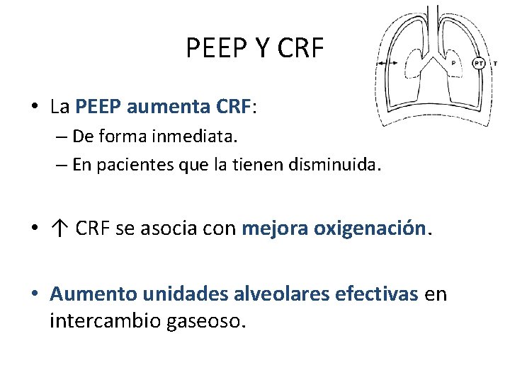 PEEP Y CRF • La PEEP aumenta CRF: – De forma inmediata. – En