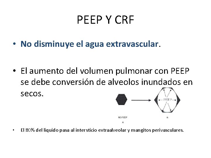 PEEP Y CRF • No disminuye el agua extravascular. • El aumento del volumen