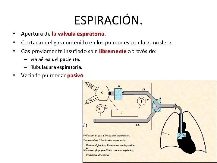 ESPIRACIÓN. • Apertura de la valvula espiratoria. • Contacto del gas contenido en los