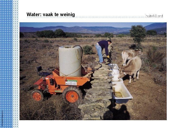 Water: vaak te weinig 