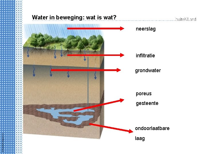 Water in beweging: wat is wat? neerslag infiltratie grondwater poreus gesteente ondoorlaatbare laag 