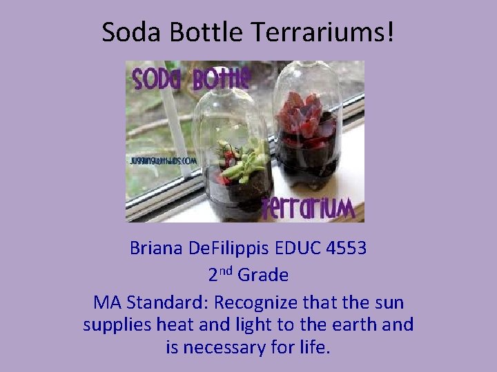 Soda Bottle Terrariums! Briana De. Filippis EDUC 4553 2 nd Grade MA Standard: Recognize