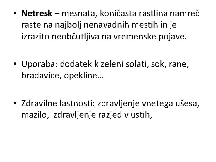  • Netresk – mesnata, koničasta rastlina namreč raste na najbolj nenavadnih mestih in