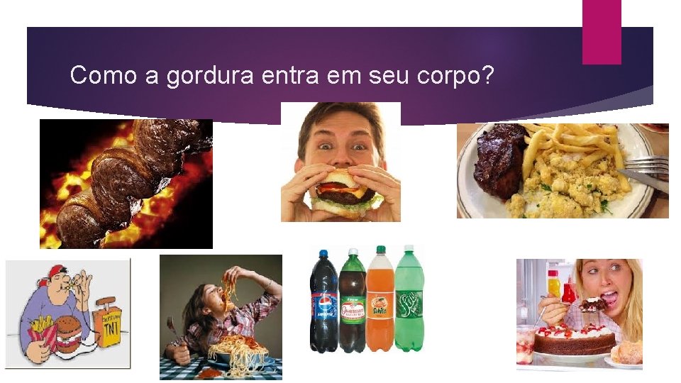 Como a gordura entra em seu corpo? 