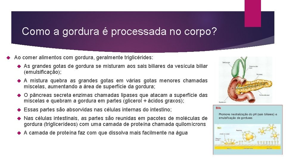 Como a gordura é processada no corpo? Ao comer alimentos com gordura, geralmente triglicérides: