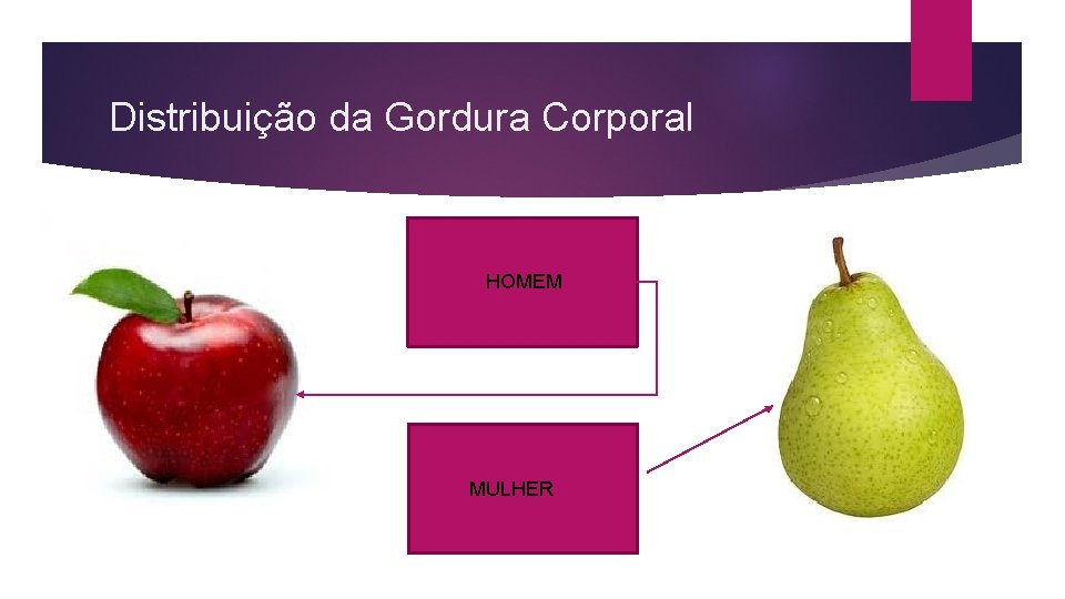 Distribuição da Gordura Corporal HOMEM MULHER 