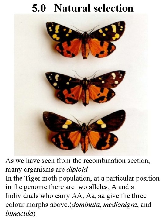 5. 0 Natural selection As we have seen from the recombination section, many organisms