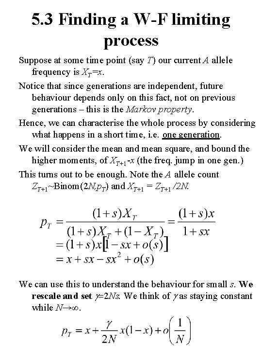 5. 3 Finding a W-F limiting process Suppose at some time point (say T)