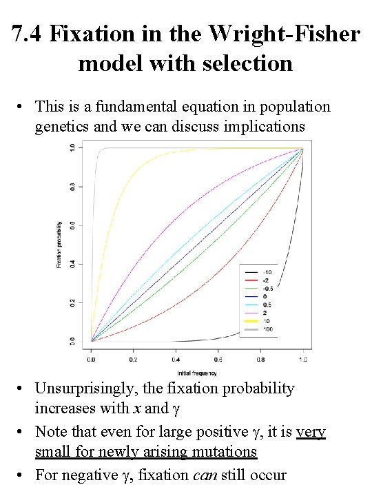 7. 4 Fixation in the Wright-Fisher model with selection • This is a fundamental