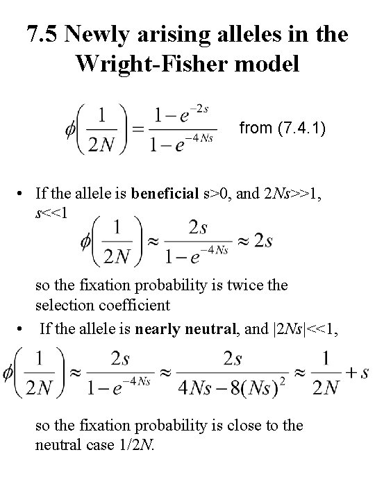 7. 5 Newly arising alleles in the Wright-Fisher model from (7. 4. 1) •