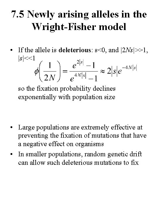 7. 5 Newly arising alleles in the Wright-Fisher model • If the allele is