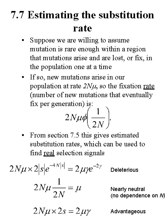 7. 7 Estimating the substitution rate • Suppose we are willing to assume mutation