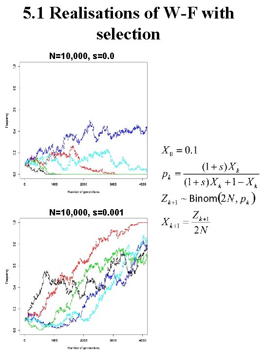 5. 1 Realisations of W-F with selection N=10, 000, s=0. 001 