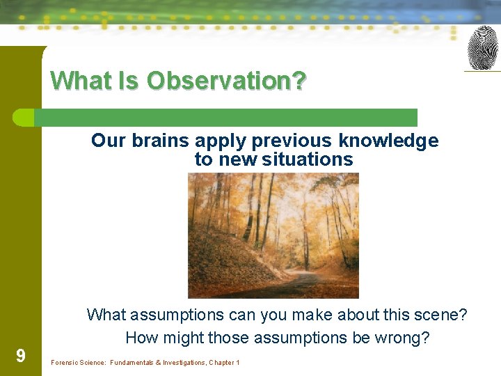 What Is Observation? Our brains apply previous knowledge to new situations 9 What assumptions