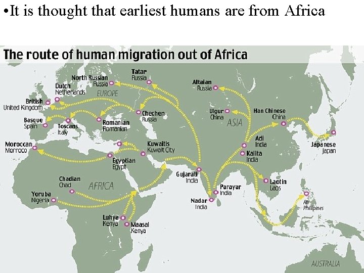  • It is thought that earliest humans are from Africa 