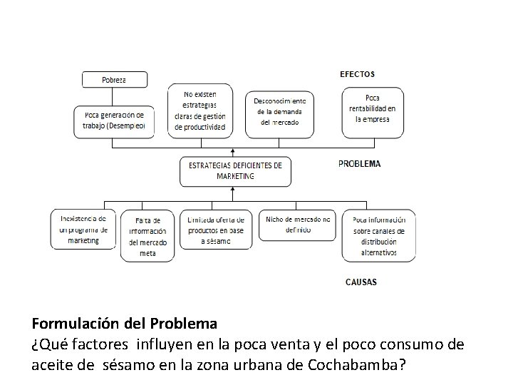 Formulación del Problema ¿Qué factores influyen en la poca venta y el poco consumo