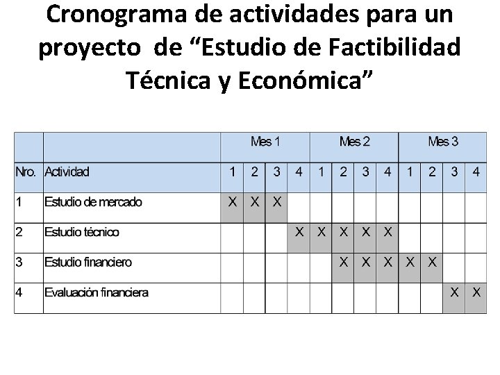 Cronograma de actividades para un proyecto de “Estudio de Factibilidad Técnica y Económica” 