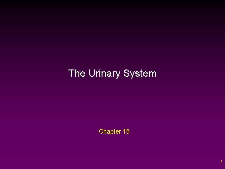 The Urinary System Chapter 15 1 