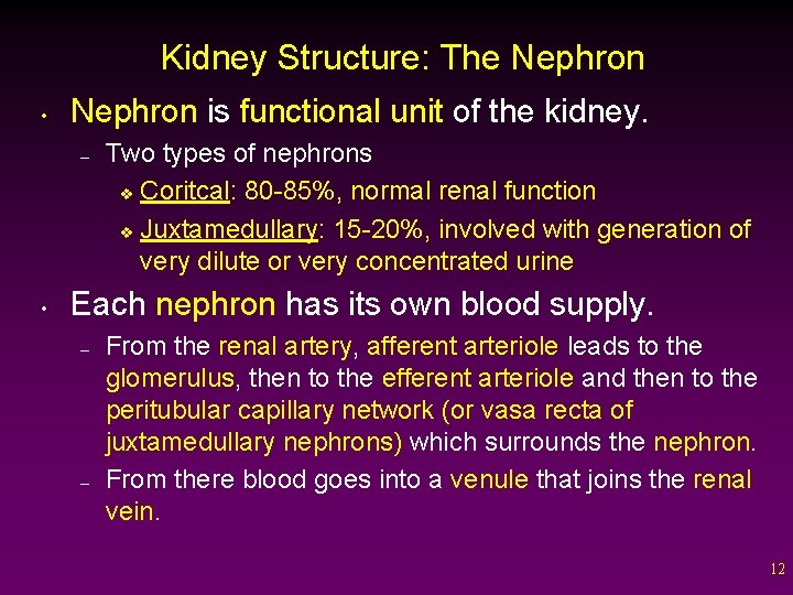 Kidney Structure: The Nephron • Nephron is functional unit of the kidney. – •