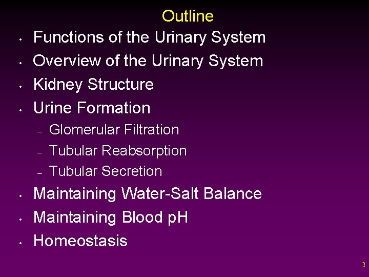  • • Outline Functions of the Urinary System Overview of the Urinary System