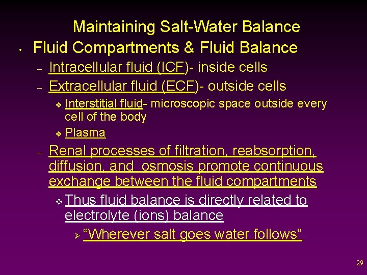  • Maintaining Salt-Water Balance Fluid Compartments & Fluid Balance – – Intracellular fluid