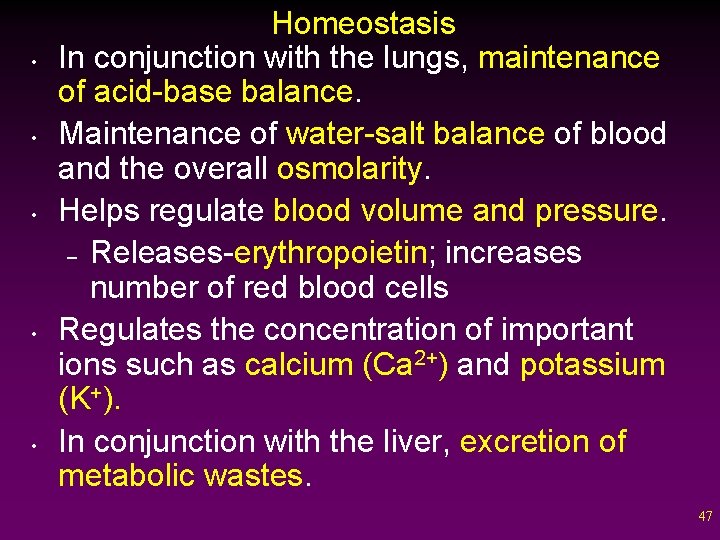  • • • Homeostasis In conjunction with the lungs, maintenance of acid-base balance.