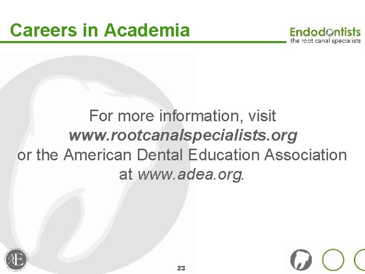 Careers in Academia For more information, visit www. rootcanalspecialists. org or the American Dental