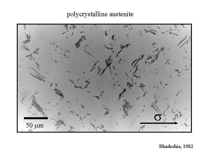 polycrystalline austenite 50 mm s Bhadeshia, 1982 