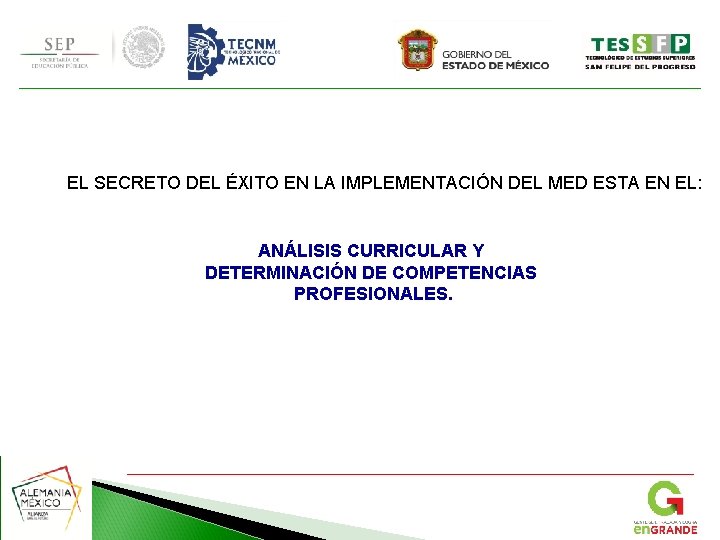 EL SECRETO DEL ÉXITO EN LA IMPLEMENTACIÓN DEL MED ESTA EN EL: ANÁLISIS CURRICULAR