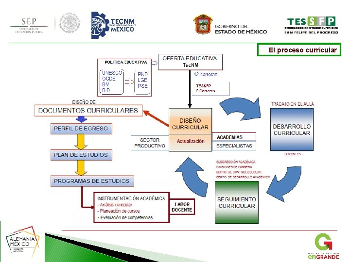 El proceso curricular 