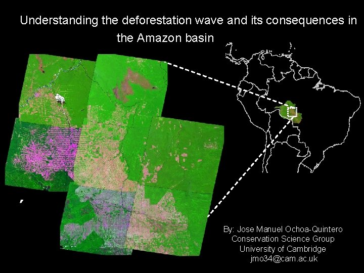 Understanding the deforestation wave and its consequences in the Amazon basin forest ”, By: