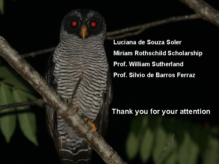 Luciana de Souza Soler Miriam Rothschild Scholarship Prof. William Sutherland Prof. Silvio de Barros
