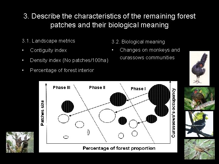 3. Describe the characteristics of the remaining forest patches and their biological meaning 3.