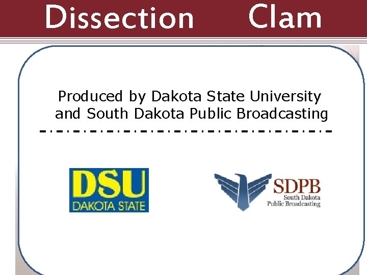 Dissection 101: Clam Produced by Dakota State University and South Dakota Public Broadcasting 