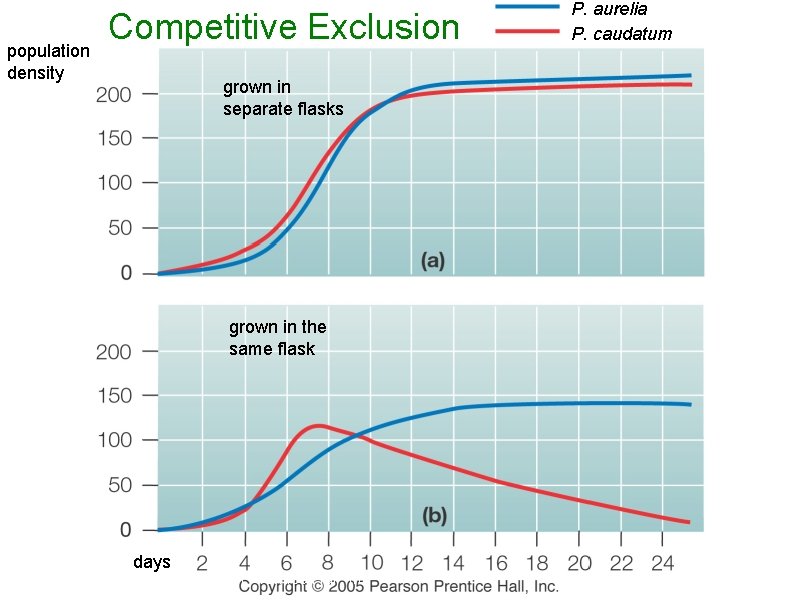 population density Competitive Exclusion grown in separate flasks grown in the same flask days