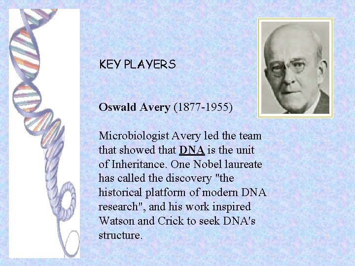 KEY PLAYERS Oswald Avery (1877 -1955) Microbiologist Avery led the team that showed that