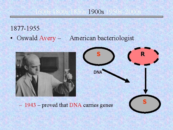 1600 s 1850 s 1900 s 1950 s 2000 s 1877 -1955 • Oswald