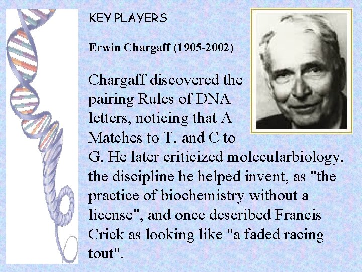 KEY PLAYERS Erwin Chargaff (1905 -2002) Chargaff discovered the pairing Rules of DNA letters,