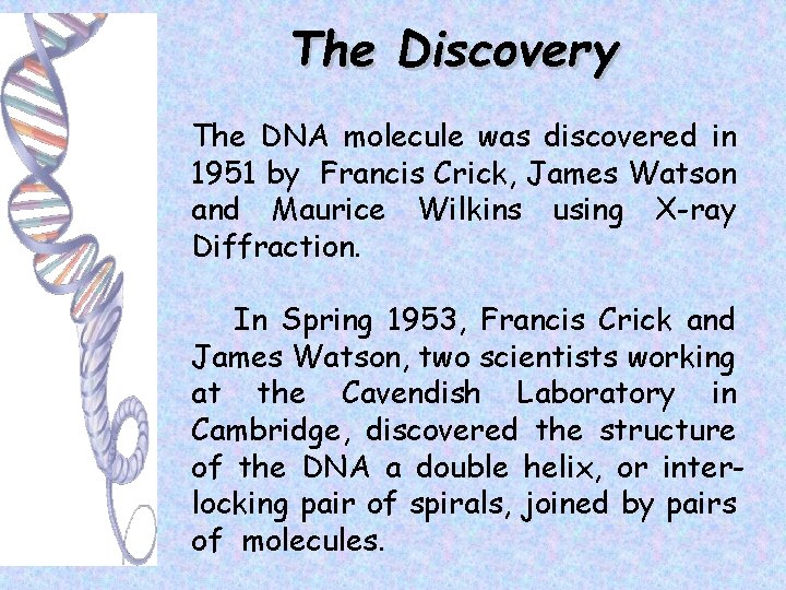 The Discovery The DNA molecule was discovered in 1951 by Francis Crick, James Watson