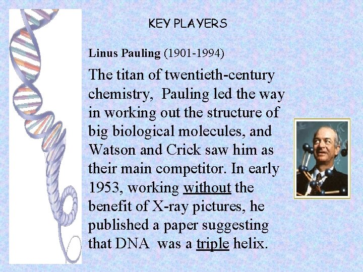 KEY PLAYERS Linus Pauling (1901 -1994) The titan of twentieth-century chemistry, Pauling led the