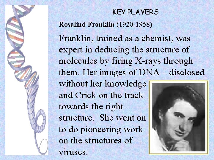 KEY PLAYERS Rosalind Franklin (1920 -1958) Franklin, trained as a chemist, was expert in