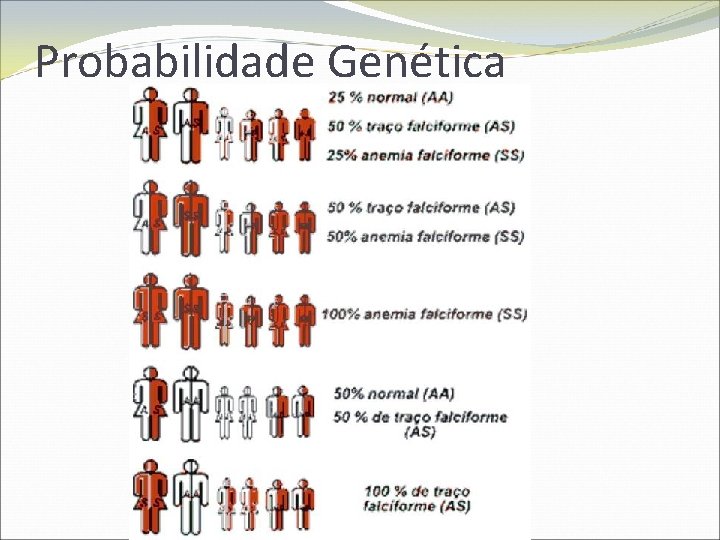 Probabilidade Genética 