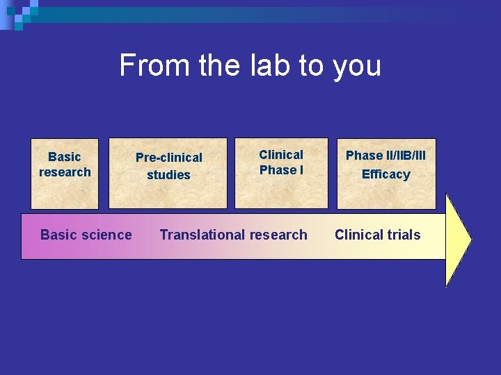 From the lab to you Basic research Pre-clinical studies Clinical Phase II/IIB/III Efficacy Basic