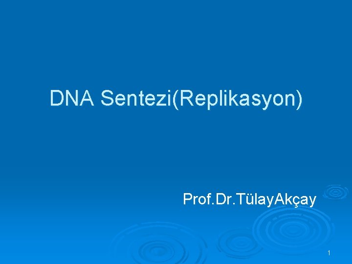  DNA Sentezi(Replikasyon) Prof. Dr. Tülay. Akçay 1 