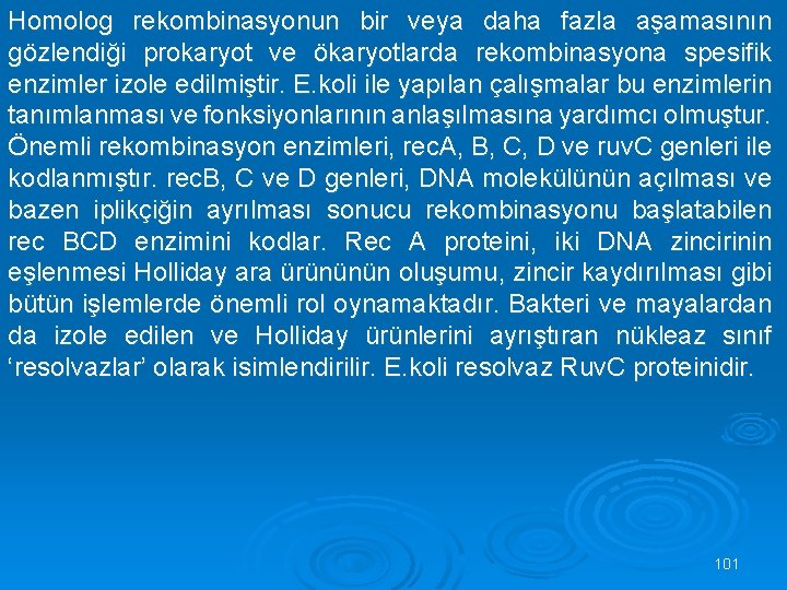 Homolog rekombinasyonun bir veya daha fazla aşamasının gözlendiği prokaryot ve ökaryotlarda rekombinasyona spesifik enzimler