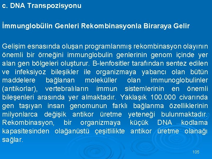 c. DNA Transpozisyonu İmmunglobülin Genleri Rekombinasyonla Biraraya Gelir Gelişim esnasında oluşan programlanmış rekombinasyon olayının