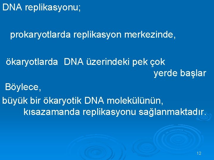 DNA replikasyonu; prokaryotlarda replikasyon merkezinde, ökaryotlarda DNA üzerindeki pek çok yerde başlar Böylece, büyük