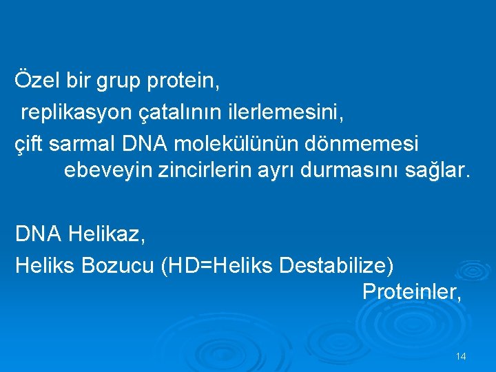  Özel bir grup protein, replikasyon çatalının ilerlemesini, çift sarmal DNA molekülünün dönmemesi ebeveyin