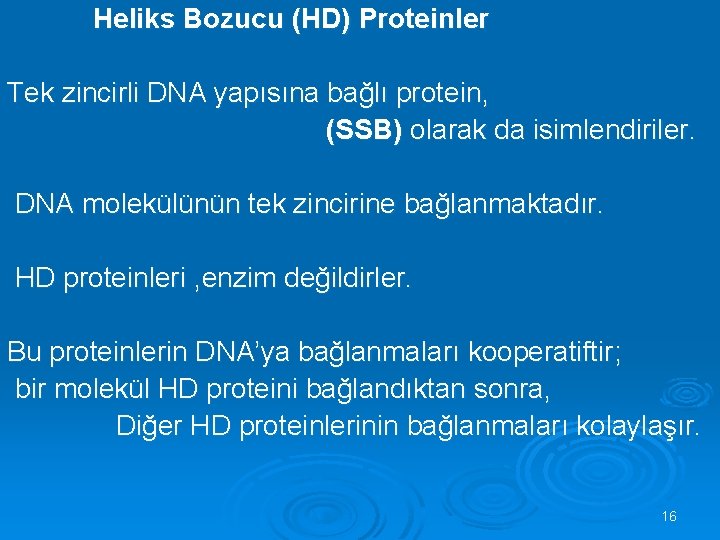  Heliks Bozucu (HD) Proteinler Tek zincirli DNA yapısına bağlı protein, (SSB) olarak da