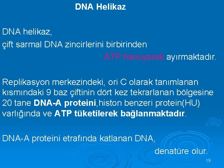  DNA Helikaz DNA helikaz, çift sarmal DNA zincirlerini birbirinden ATP harcıyarak ayırmaktadır. Replikasyon
